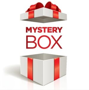 Mystery Box - Womens Clothing - Mystery Bundle Includes 10+ Pieces - Size Medium
